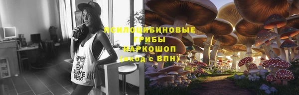 соль курить ск Алексеевка