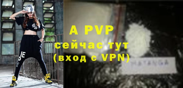 шишки Абаза