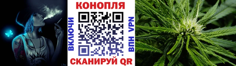 Бошки Шишки ГИДРОПОН Вышний Волочёк